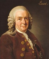 Carolus Linnaeus (1707-1778)